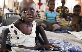 Zekat Bağışı: Kardeşlikte Bereketi Paylaşmak